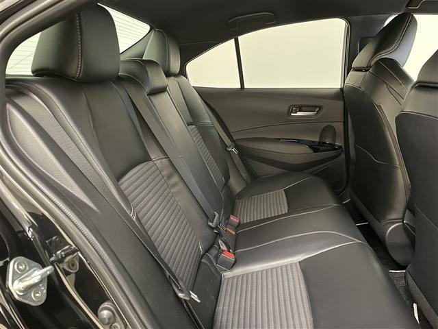 �㕔���Ȃł��B�����ɂ���Ƃ肪����������ƍ���܂��B