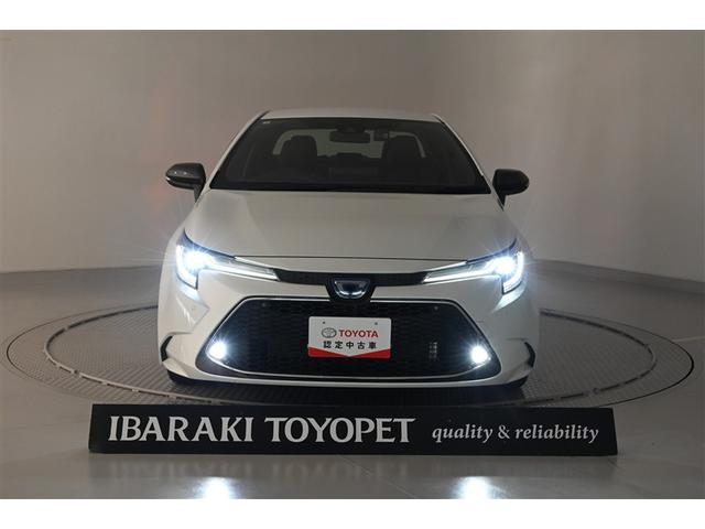 �����C�g��_�����Ă�����