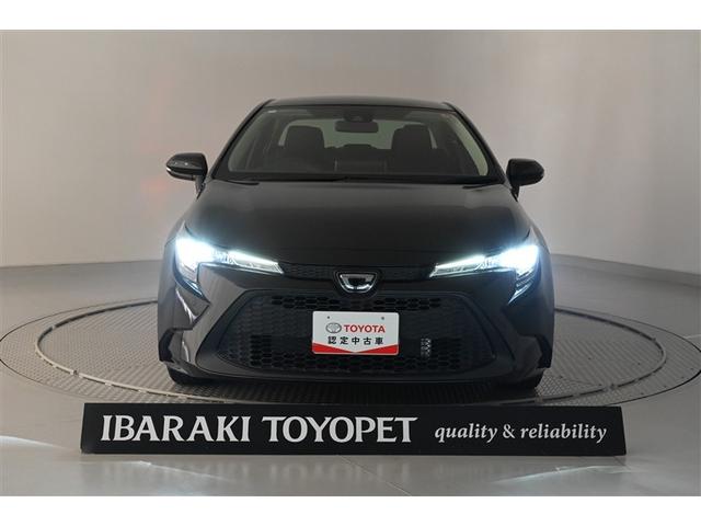 �����C�g��_�����Ă�����