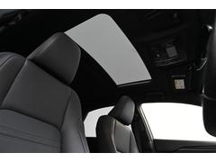 ���ࡼ��롼�������������뤯�֤䤫�ʥɥ饤�֤� 5