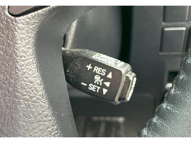 アルファード 2.5S WAC AC100V電源 盗難防止 ナビ&TV 記録簿 LEDヘッド 横滑防止装置 地デジTV クルコン スマートキー アルミホイール キーレス 4WD 両側パワースライドドア 3列シート ETC(24枚目)