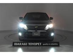 ϥꥢ ץߥࡡɥХ󥹥ɥѥåХȡϿ롼ȥ 0401185A20251113T002 6