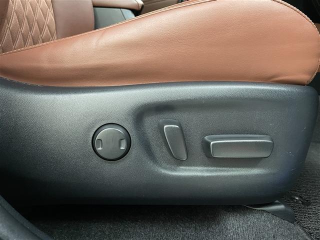 ハリアー プレミアム　カーテンエアバッグ　クルーズＣ　記録簿あり　ＡＣ１００Ｖ　Ｂカメラ　電動パワーシート　ＬＥＤライト　メモリナビ　横滑り防止機能　オートエアコン　Ａストップ　エアバッグ　ＡＷ　ＤＶＤ再生可　ナビ＆ＴＶ（16枚目）