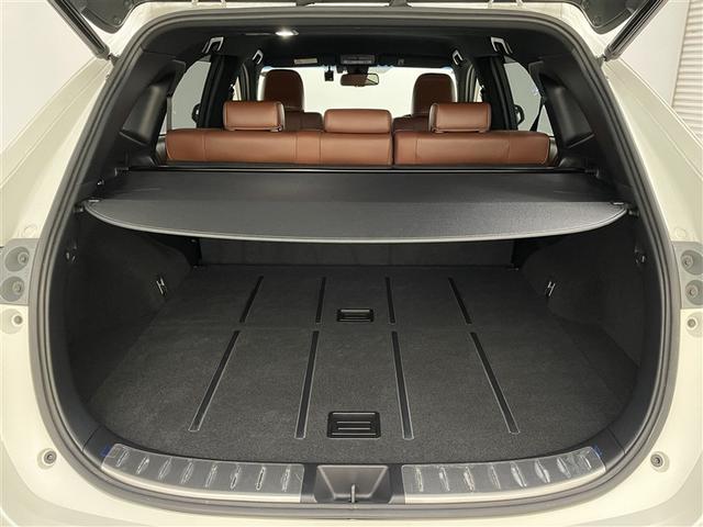 ハリアー プレミアム　カーテンエアバッグ　クルーズＣ　記録簿あり　ＡＣ１００Ｖ　Ｂカメラ　電動パワーシート　ＬＥＤライト　メモリナビ　横滑り防止機能　オートエアコン　Ａストップ　エアバッグ　ＡＷ　ＤＶＤ再生可　ナビ＆ＴＶ（21枚目）