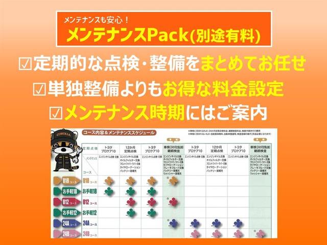 Ｇ　ワンセグ　メモリーナビ　バックカメラ　衝突被害軽減システム　記録簿　アイドリングストップ(39枚目)