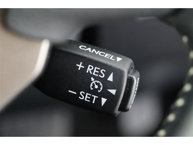 NX NX300h バージョンL(8枚目)