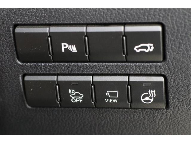 NX NX300h バージョンL(10枚目)