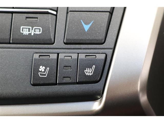 NX NX300h バージョンL(11枚目)