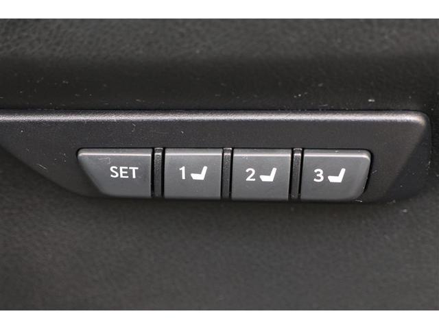 NX NX300h バージョンL(12枚目)