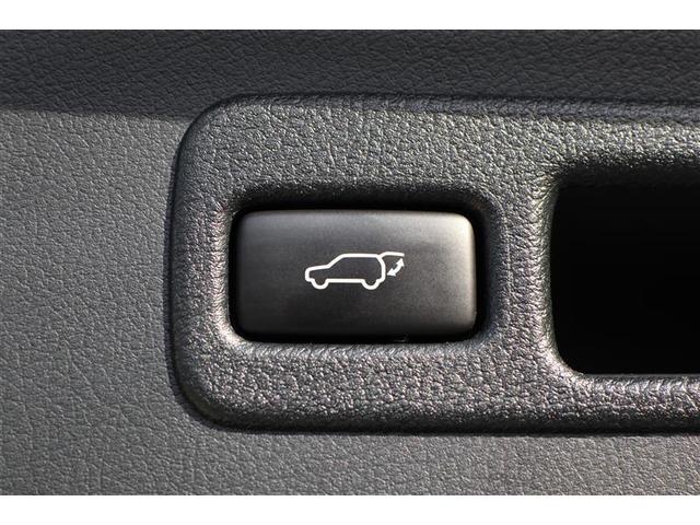 NX NX300h バージョンL(13枚目)