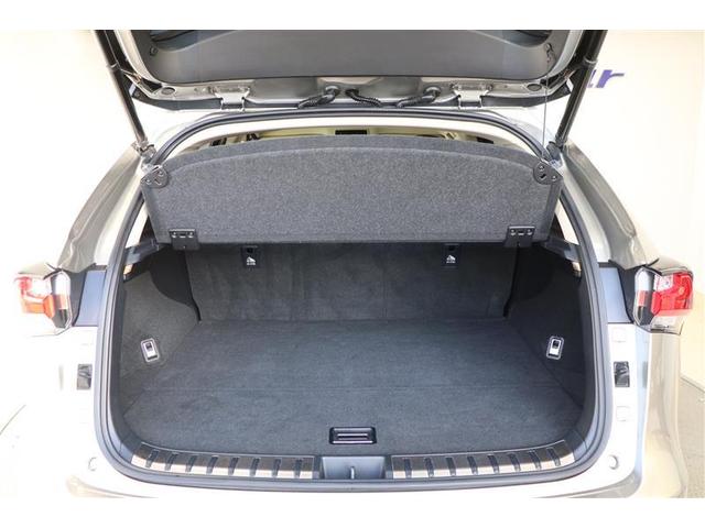 NX NX300h バージョンL(17枚目)