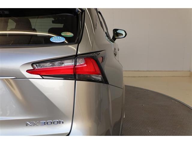 NX NX300h バージョンL(23枚目)