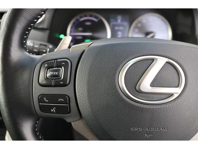 NX NX300h バージョンL(30枚目)