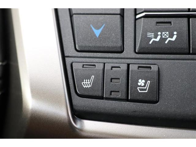 NX NX300h バージョンL(34枚目)