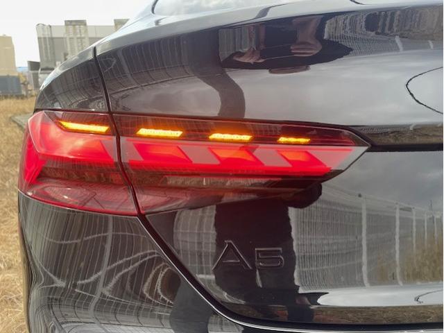 �k�d�c�����R���r�l�[�V�������C�g�^�_�C�i�~�b�N�^�[���C���f�B�P�[�^�[�I