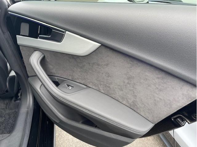 ���A�E�h�A�p�l���I