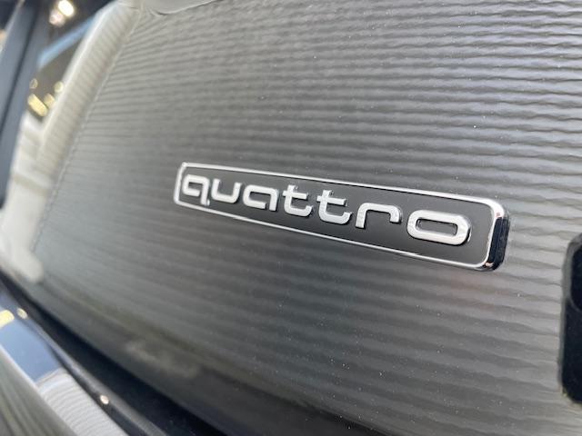 �p���t���ȃf�B�[�[���G���W���ƃA�E�f�B�Ǝ��̎l�֋쓮�V�X�e���u���������������i�N���g���j�v��g�ݍ��킹�����f���I