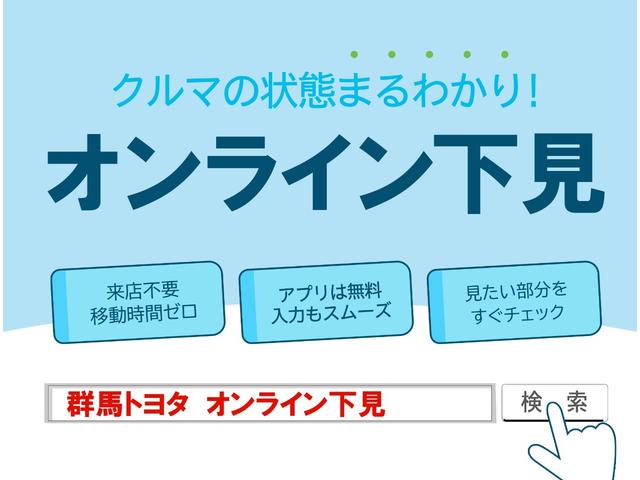 250G Fパッケージリミテッド DVDナビ バックカメラ ETC HIDヘッドライト 記録簿(21枚目)