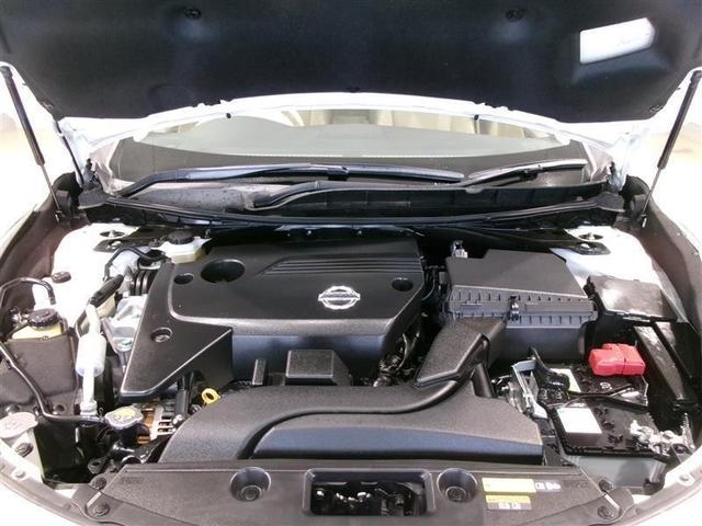 ティアナ ＸＶ　ナビＡＶＭパッケージ　革シート　サンルーフ　フルセグ　メモリーナビ　ＤＶＤ再生　バックカメラ　ＥＴＣ　ＨＩＤヘッドライト　記録簿（21枚目）