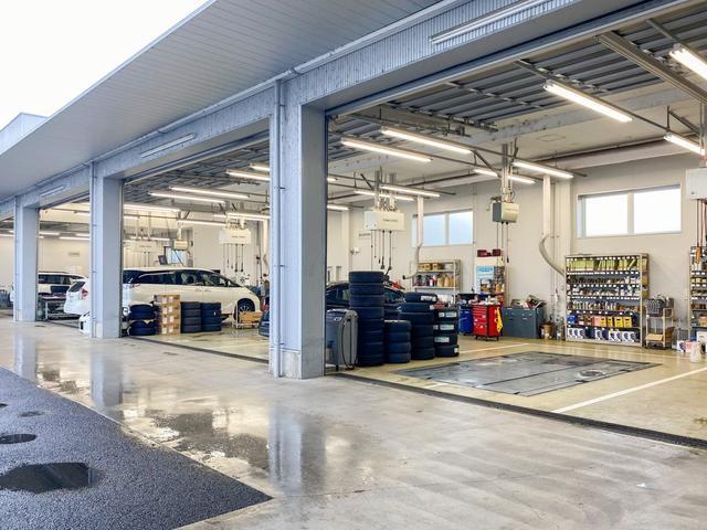 ティアナ ＸＶ　ナビＡＶＭパッケージ　革シート　サンルーフ　フルセグ　メモリーナビ　ＤＶＤ再生　バックカメラ　ＥＴＣ　ＨＩＤヘッドライト　記録簿（32枚目）