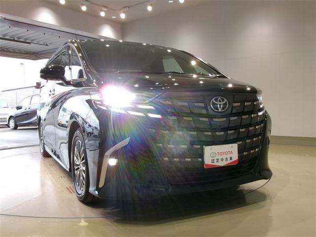 アルファードハイブリッド エグゼクティブラウンジ　革シート　サンルーフ　４ＷＤ　フルセグ　メモリーナビ　ＤＶＤ再生　ミュージックプレイヤー接続可　後席モニター　バックカメラ　衝突被害軽減システム　ＥＴＣ　両側電動スライド　ＬＥＤヘッドランプ（19枚目）