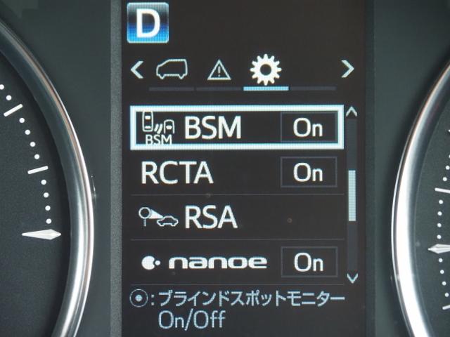 Ｓ　タイプゴールドＩＩ　特別仕様車　走行０．９万Ｋｍ　ＯＰ・Ｄインナーミラー／ＢＳＭ／ＰＫＳＢ　ディスプレイオーディオ　ＯＰ・ナビ　ＯＰ・ＴＶ　ＯＰ・ＣＤ／ＤＶＤ　セーフティセンス　両自動　Ｐバックドア　コンビシート(47枚目)