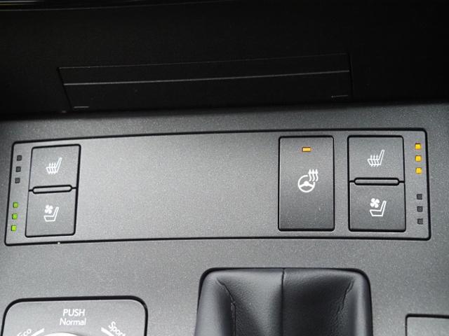 IS IS300h バージョンL 法人ワンオーナー禁煙車 走行5000Km セーフティシステムプラス BSM/PKSB OP・パノラミックビュー 黒革シート リヤオートサンシェード 10.3型ナビ 3連フルLEDヘッドライト ドラレコ(38枚目)