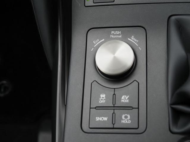 IS IS300h バージョンL 法人ワンオーナー禁煙車 走行5000Km セーフティシステムプラス BSM/PKSB OP・パノラミックビュー 黒革シート リヤオートサンシェード 10.3型ナビ 3連フルLEDヘッドライト ドラレコ(39枚目)