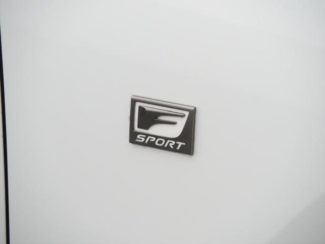 IS IS350 Fスポーツモードブラック OP・TRDエアロダイナミクスPKG OP・マクレビ OP・全周囲 OP・キャリパー セーフティシステムプラス BSM/PKSB 赤革 10.3型タッチディスプレイ BBS製マッドブラック塗装19AW(65枚目)