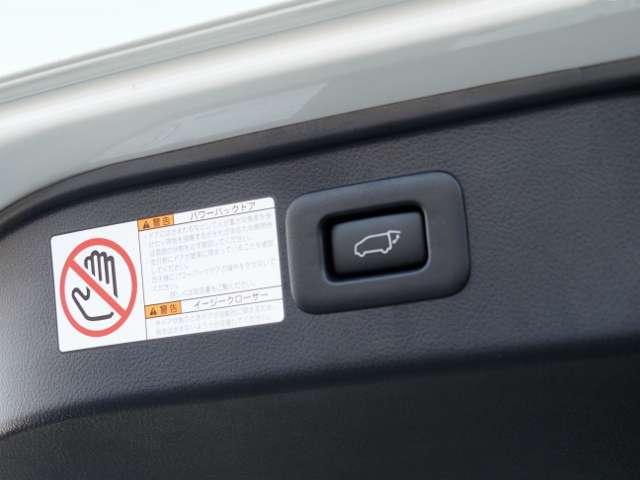 アルファードハイブリッド Ｇ　Ｆパッケージ　ＯＰ・電動サイドステップ　ＯＰ・２ＳＲ　ＯＰ・ＢＳＭ／Ｄインナーミラー　ディスプレイオーディオ　ＯＰ・ナビ　ＯＰ・ＴＶ　ＯＰ・ＣＤ／ＤＶＤ　セーフティセンス　両自動　Ｐバックドア　フラクセン合皮シート（33枚目）