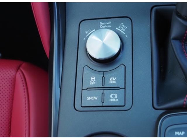 ＩＳ ＩＳ３００ｈ　Ｆスポーツ　ＯＰ・ＳＲ　ＯＰ・３連フルＬＥＤライト　ＯＰ・赤革　ＯＰ・全周囲　ＯＰ・キャリパー　ＯＰ・１９ＡＷ　ＯＰ・ＴＲＤリヤディフューザー＆マフラ－　セーフティシステムプラス　ＢＳＭ／ＰＫＳＢ　１０．３型ナビ（44枚目）