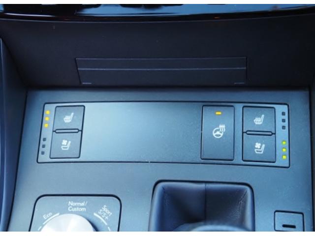 ＩＳ ＩＳ３００ｈ　Ｆスポーツ　ＯＰ・ＳＲ　ＯＰ・３連フルＬＥＤライト　ＯＰ・赤革　ＯＰ・全周囲　ＯＰ・キャリパー　ＯＰ・１９ＡＷ　ＯＰ・ＴＲＤリヤディフューザー＆マフラ－　セーフティシステムプラス　ＢＳＭ／ＰＫＳＢ　１０．３型ナビ（45枚目）