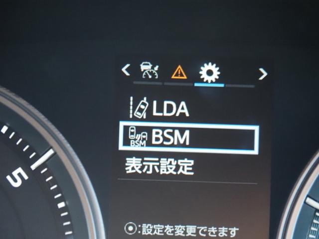 ランドクルーザー ZX OP・Tコネクトナビ&マルチテレインモニター OP・リヤエンタメ OP・パワーバックドア OP・寒冷地 セーフティセンス BSM サンルーフ ブラウンナッパ革シート(48枚目)