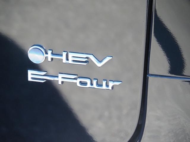 アルファードハイブリッド エグゼクティブラウンジ 4WD OP・ユニバーサルステップ OP・CD/DVD セーフティセンス チームメイト HUD Dインナーミラー 両自動 Pバックドア 左右独立ムーンルーフ 黒ナッパ革 JBL リヤエンタメ 全周囲(75枚目)