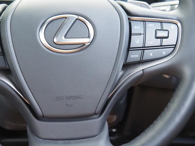 ＵＸ ＵＸ３００ｅ　バージョンＬ　後期型　ワンオーナー禁煙車　走行１万ｋｍ　セーフティシステムプラス　ＰＫＳＢ　ハンズフリーＰバックドア　角型３眼ＬＥＤライト　ヘーゼル革シート　マクレビ　１２．３型ナビ　１５００Ｗ　ドラレコ前後（34枚目）