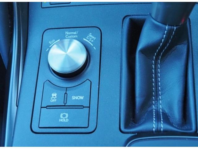 ＩＳ ＩＳ３５０　Ｆスポーツ　ＯＰ・ＳＲ　ＯＰ・マクレビ　ＯＰ・キャリパー　ＯＰ・ＴＲＤエアロダイナミクスＰＫＧ　ＯＰ・全周囲　ＯＰ・３連フルＬＥＤライト　ＯＰ・リヤトルセンＬＳＤ　ＯＰ・革スポーツシート　セーフティシステムプラス（48枚目）