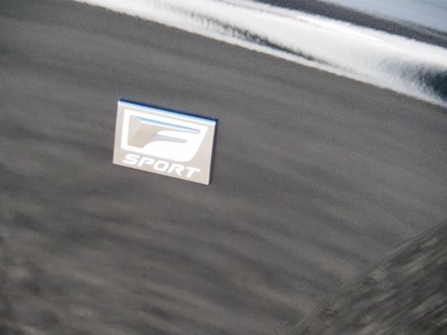 ＩＳ ＩＳ３５０　Ｆスポーツ　ＯＰ・ＳＲ　ＯＰ・マクレビ　ＯＰ・キャリパー　ＯＰ・ＴＲＤエアロダイナミクスＰＫＧ　ＯＰ・全周囲　ＯＰ・３連フルＬＥＤライト　ＯＰ・リヤトルセンＬＳＤ　ＯＰ・革スポーツシート　セーフティシステムプラス（64枚目）