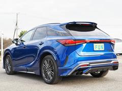 �ң� �ңأ������衡�ƥ��ݡ��ĥѥե����ޥ󥹡��ϣС��ԣңĥ����������ʥߥ������ϣ� 0401387A30251128W001 6