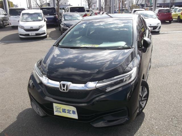 Ｇ　２ＷＤ　ナビＴＶ　ＥＴＣバックカメラ(56枚目)