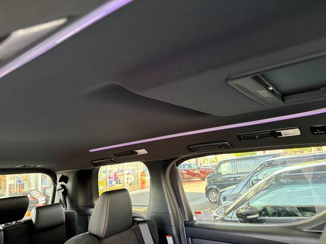 アルファード ２．５Ｓ　タイプゴールド　メーカーナビゲーション　バックカメラ　両側パワースライドドア　ＬＥＤヘッドライト　ステアリングスイッチ　フリップダウンモニター　トヨタセーフティセンス　クルーズコントロール（28枚目）