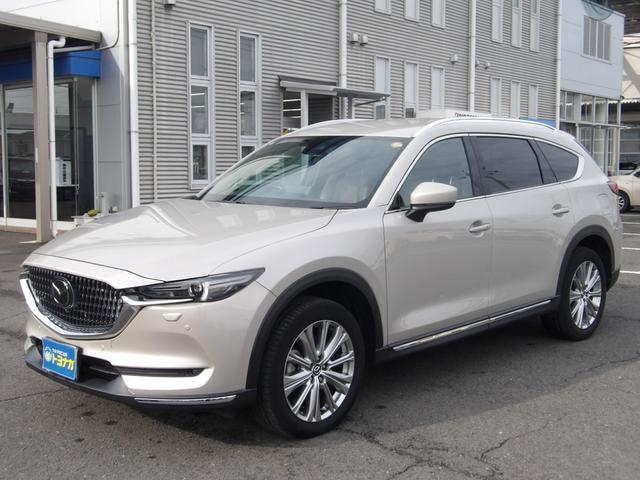 �P�X�V�O�N�ɑn�Ƃ��܂����B�Q�n���ɂP�Q���Ə��A�}�c�_�E�X�Y�L�̐V�Ԕ̔��ƍ��Y�S���[�J�[�̒��ÎԔ̔��E���������Ă܂��B�C�ӕی������C���������B