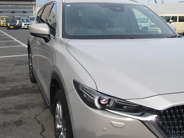 �k�d�c�w�b�h���C�g���t���Ă܂��I�Â��铹�����K�ł��I