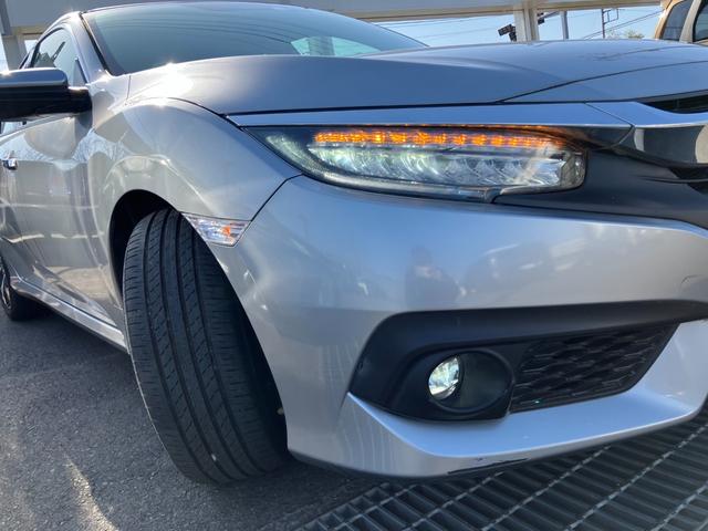 �k�d�c�w�b�h���C�g���t�H�O�����v�I�@�铹�𖾂邭�Ƃ炵�Ă���܂��I�@�J�̓��▶�Ȃǂ��t�H�O�����v���S�����ł��I