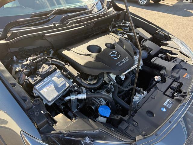 ＣＸ－３ ＸＤ　ツーリング　８．８インチナビゲーション　バックカメラ　衝突軽減ブレーキ　ＥＴＣ　ステアリングスイッチ　ＬＥＤヘッドライト　ハーフレザーシート　クルーズコントロール　アイドリングストップ（32枚目）