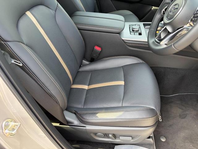 ����S�n�̗ǂ��V�[�g�I