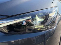 �̣ţĥإåɥ饤���դ��� 7