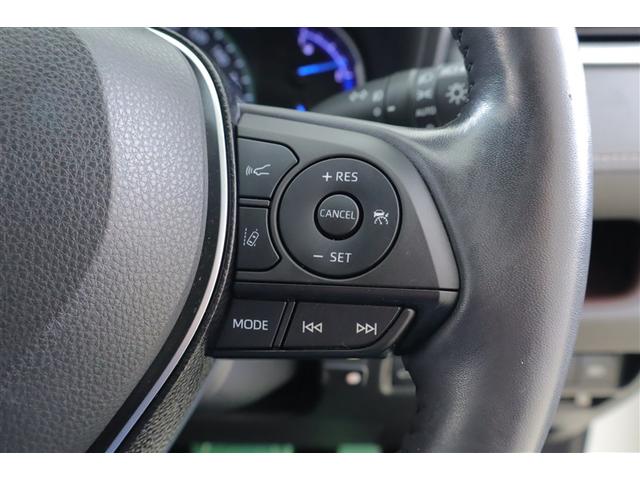 ＲＡＶ４ ハイブリッドＧ　４ＷＤ　フルセグ　メモリーナビ　ＤＶＤ再生　ミュージックプレイヤー接続可　バックカメラ　衝突被害軽減システム　ＥＴＣ　ＬＥＤヘッドランプ　記録簿（17枚目）