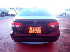 �������� �ϥ��֥�åɡ����֥�Х��ӡ����ϥ�ɥ롡�����ȥҡ��������ϡ��ե쥶�� 0401561A30251226W003 6