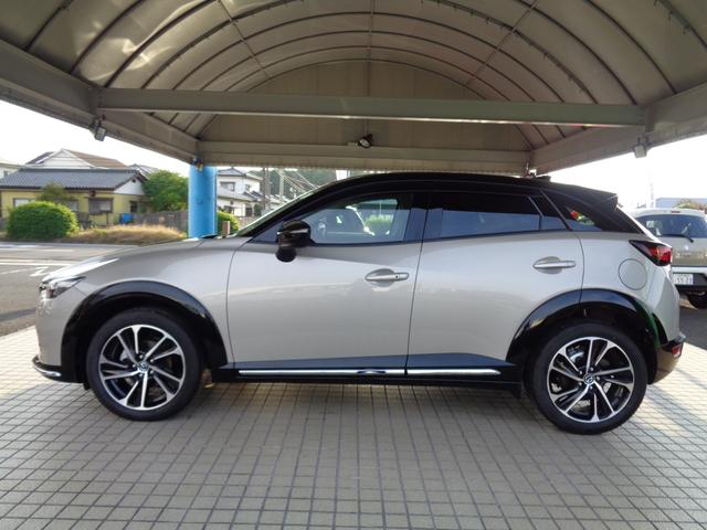 ＣＸ－３ １５Ｓ　ビビッド　モノトーン（6枚目）
