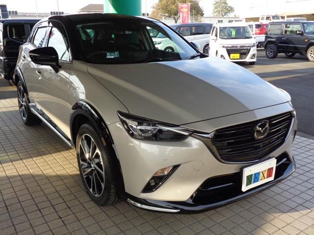ＣＸ－３ １５Ｓ　ビビッド　モノトーン（10枚目）